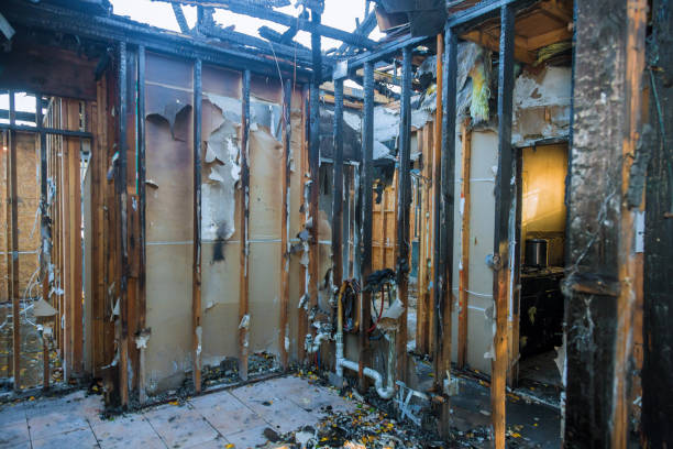 Professional Smoke Damage Removal technician working in Avalon, CA